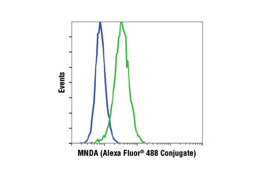  Flow cytometric analysis of Jurkat cells (blue) and THP-1 cells (green) using MNDA (3C1) Rat mAb (Alexa Fluor® 488 Conjugate).