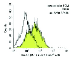  Ku-86 (B-1) Alexa Fluor 488: sc-5280 AF488. Intracellular FCM analysis of fixed and permeabilized HeLa cells. Black line histogram represents the isotype control, normal mouse IgG<sub>1</sub>: sc-3890.