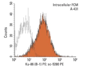  Ku-86 (B-1) PE: sc-5280 PE. Intracellular FCM analysis of fixed and permeabilized A-431 cells. Black line histogram represents the isotype control, normal mouse IgG<sub>1</sub>: sc-2866.