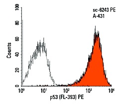  p53 (FL-393) PE: sc-6243 PE. Intracellular FCM analysis of fixed and permeabilized A-431 cells. Black line histogram represents the isotype control, normal rabbit IgG: sc-3871.