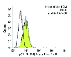  p53 (FL-393) Alexa Fluor 488: sc-6243 AF488. Intracellular FCM analysis of fixed and permeabilized HeLa cells. Black line histogram represents the isotype control, normal goat IgG: sc-45067.