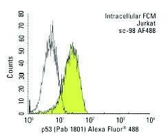  p53 (Pab 1801) Alexa Fluor 488: sc-98 AF488. Intracellular FCM analysis of fixed and permeabilized Jurkat cells. Black line histogram represents the isotype control, normal mouse IgG<sub>1</sub>: sc-3890.