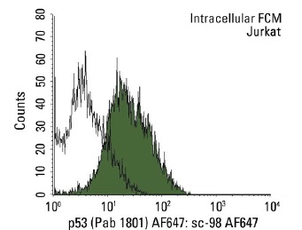  p53 (Pab 1801) AF647: sc-98 AF647. Intracellular FCM analysis of fixed and permeabilized Jurkat cells. Black line histogram represents the isotype control, normal mouse IgG<sub>1</sub>: sc-24636.