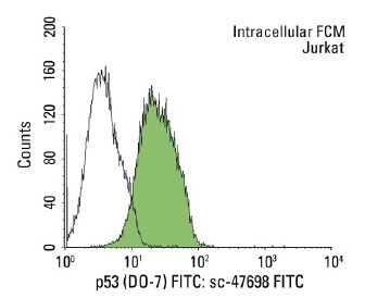  p53 (DO-7) FITC: sc-47698 FITC. Intracellular FCM analysis of fixed and permeabilized Jurkat cells. Black line histogram represents the isotype control, normal mouse IgG<sub>2b</sub>: sc-2857.