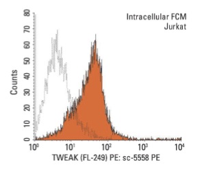  TWEAK (FL-249) PE: sc-5558 PE. Intracellular FCM analysis of fixed and permeabilized Jurkat cells. Black line histogram represents the isotype control, normal rabbit IgG: sc-3871.