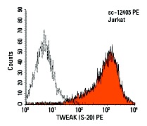  TWEAK (S-20) PE: sc-12405PE. Intracellular FCM analysis of fixed and permeabilized Jurkat cells. Black line histogram represents the isotype control, normal goat IgG: sc-3992.