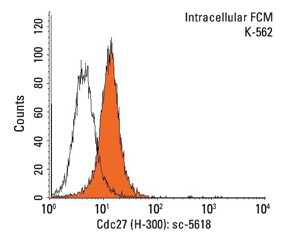  Cdc27 (H-300): sc-5618. Indirect, intracellular FCM analysis of fixed and permeabilized K-562 cells stained with Cdc27 (H-300), followed by PE-conjugated goat anti-rabbit IgG: sc-3739. Black line histogram represents the isotype control, normal rabbit IgG: sc-3888.