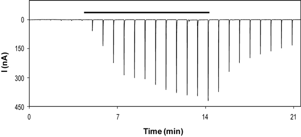  Ivermectin activates a7 nicotinic AChR heterologously expressed in Xenopus oocytes. Current traces of a7 nicotinic AChR at -80mV holding potential. Currents were elicited by applications 10 µM acetylcholine every 50 seconds. Increases of these induced currents were achieved upon perfusion of 10 µM Ivermectin (ab141813), as indicated by the horizontal bar.