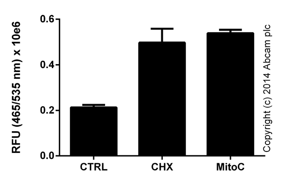  Functional assays: Caspase 8 (active) FITC Staining Kit (ab65614) Active caspase 8 in control Jurkat cells (10e6/mL) or cells treated for five hours with 10 ug/mL Cyclohexamide (CHX) (ab120093) or four hours with 25 ug/mL Mitomycin C (MitoC) (ab120797). Background signal subtracted, duplicates; +/- SD.