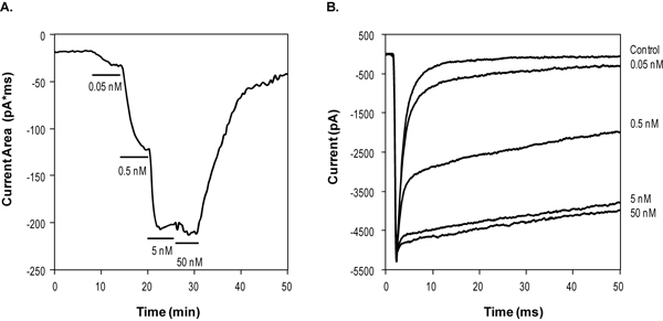  SR 33805 oxalate blocks L-type Ca2+ currents in Xenopus oocytes. A. Time course of L-type channel (CaV1.2+a2d1+ß1a) activity before and during applications of 1 µM SR 33805 oxalate (ab141868) as indicated, and upon wash. Holding potential was -80 mV and currents were elicited every 10 seconds by 100 ms ramp to +60 mV. B. Superimposed current traces of L-type currents before and during applications of 1 µM SR 33805 oxalate, taken from the experiment in A.